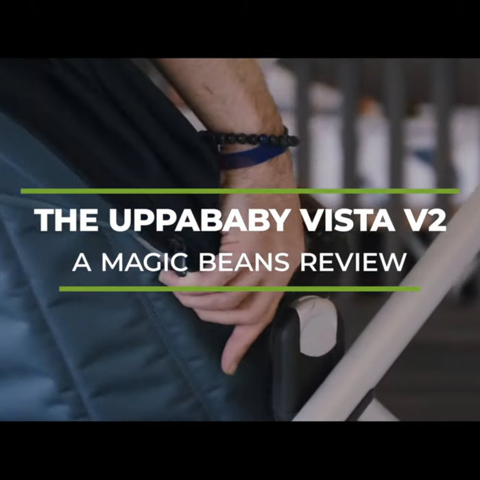 UPPAbaby Vista V2 Stroller 2020 Review | Stroller Review