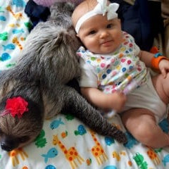 Just for fun: this baby has the most fascinating friends!