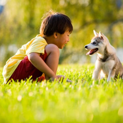Ages and stages and pets, oh my! Age-appropriate pets for kids