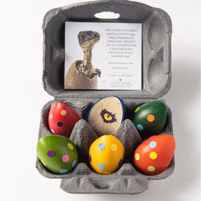 Eco-Kids Beeswax Dinosaur Egg Crayons