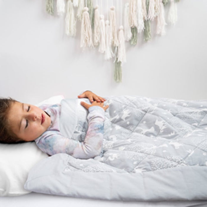 Aden + Anais Toddler Embrace Weighted Blanket - Dream Forest