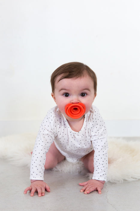 Doddle Pop Pacifier - Corally Yours