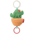 Skip Hop Farmstand Cactus Jitter Toy
